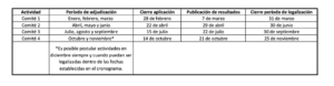 Cronograma Expertos Internacionales