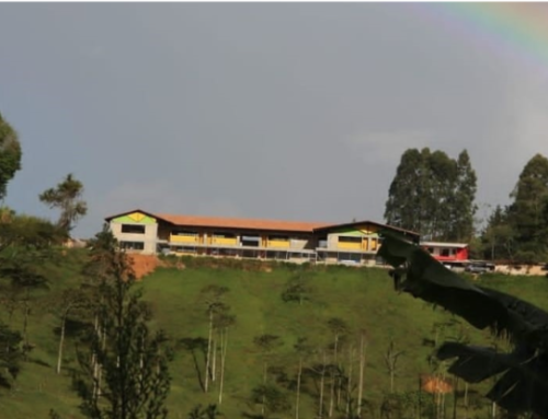 NUEVO PROGRAMA DE LICENCIATURA EN EDUCACIÓN CAMPESINA Y RURAL EN LA INSTITUCIÓN UNIVERSITARIA TECNOLÓGICO DE ANTIOQUIA- TDEA